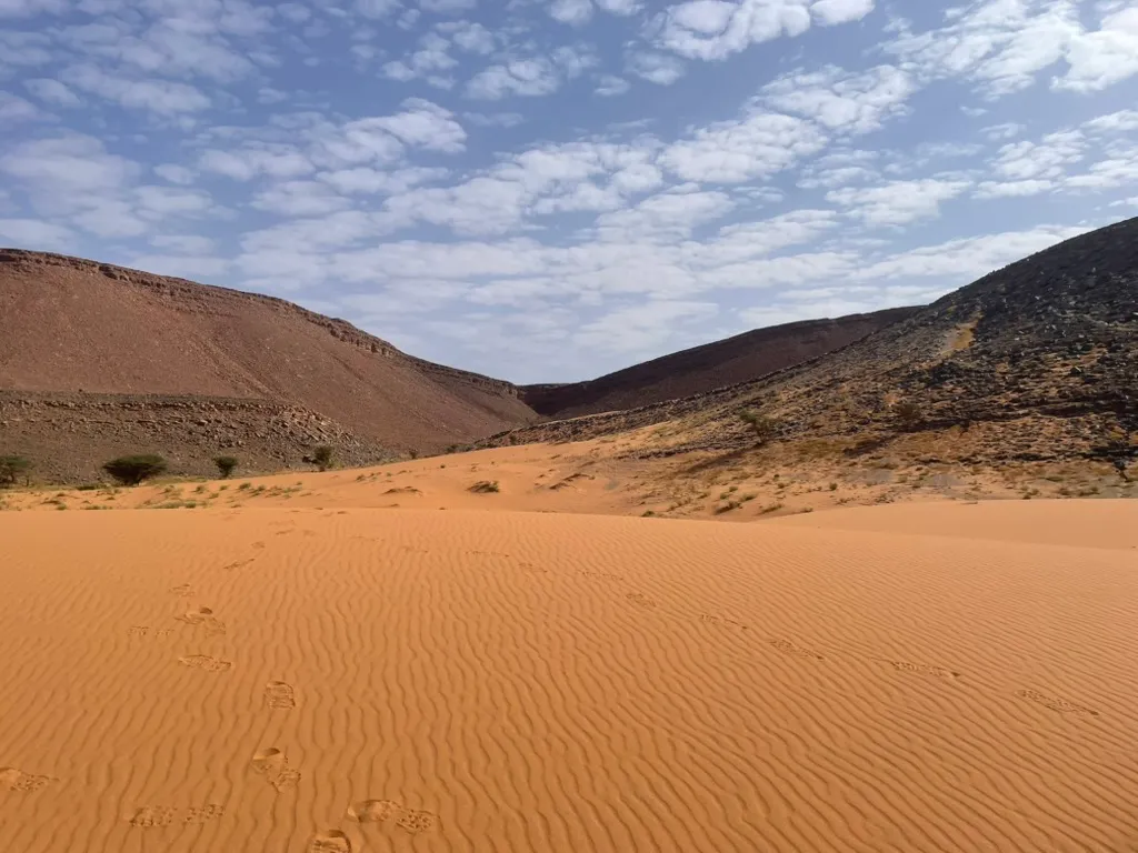 Sahara - El Taous