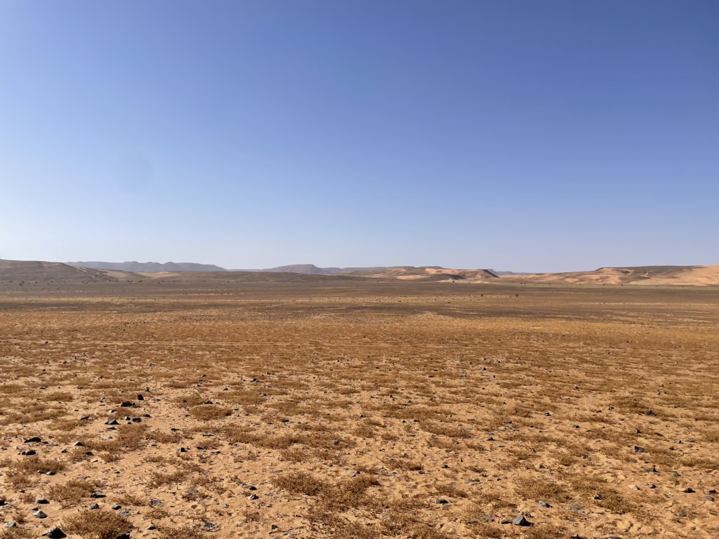 MDS Legendary — Sidi Ali